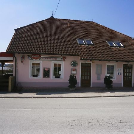 Penzion Oliver Horni Plana Exterior photo