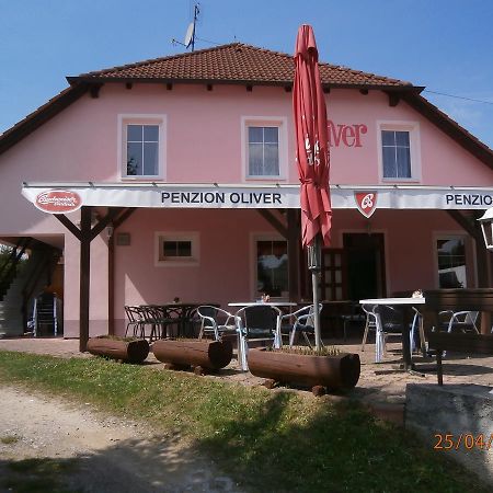Penzion Oliver Horni Plana Exterior photo
