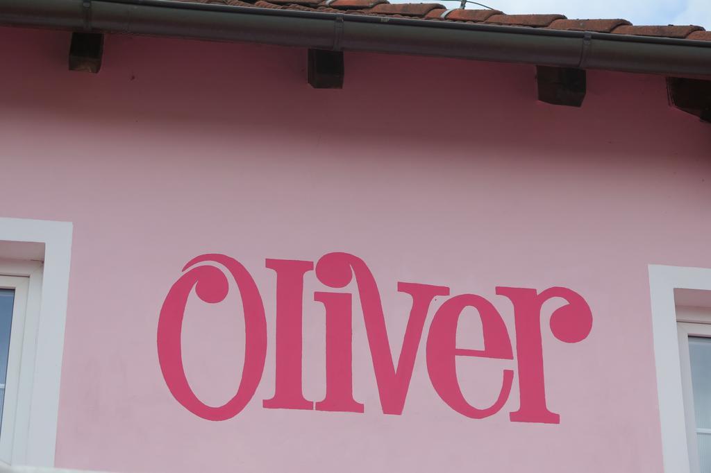 Penzion Oliver Horni Plana Exterior photo
